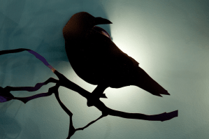 Stella Cadente x Art & Floritudes