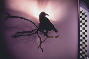 Stella Cadente x L'Original