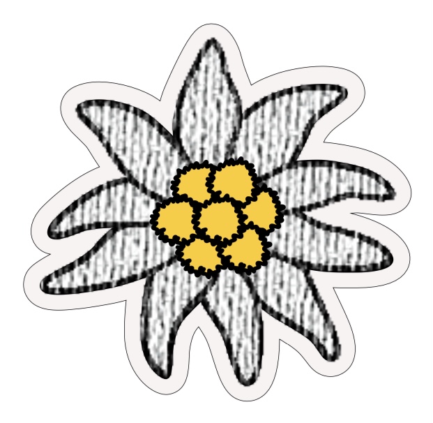 Edelweiss - Célia Lobo