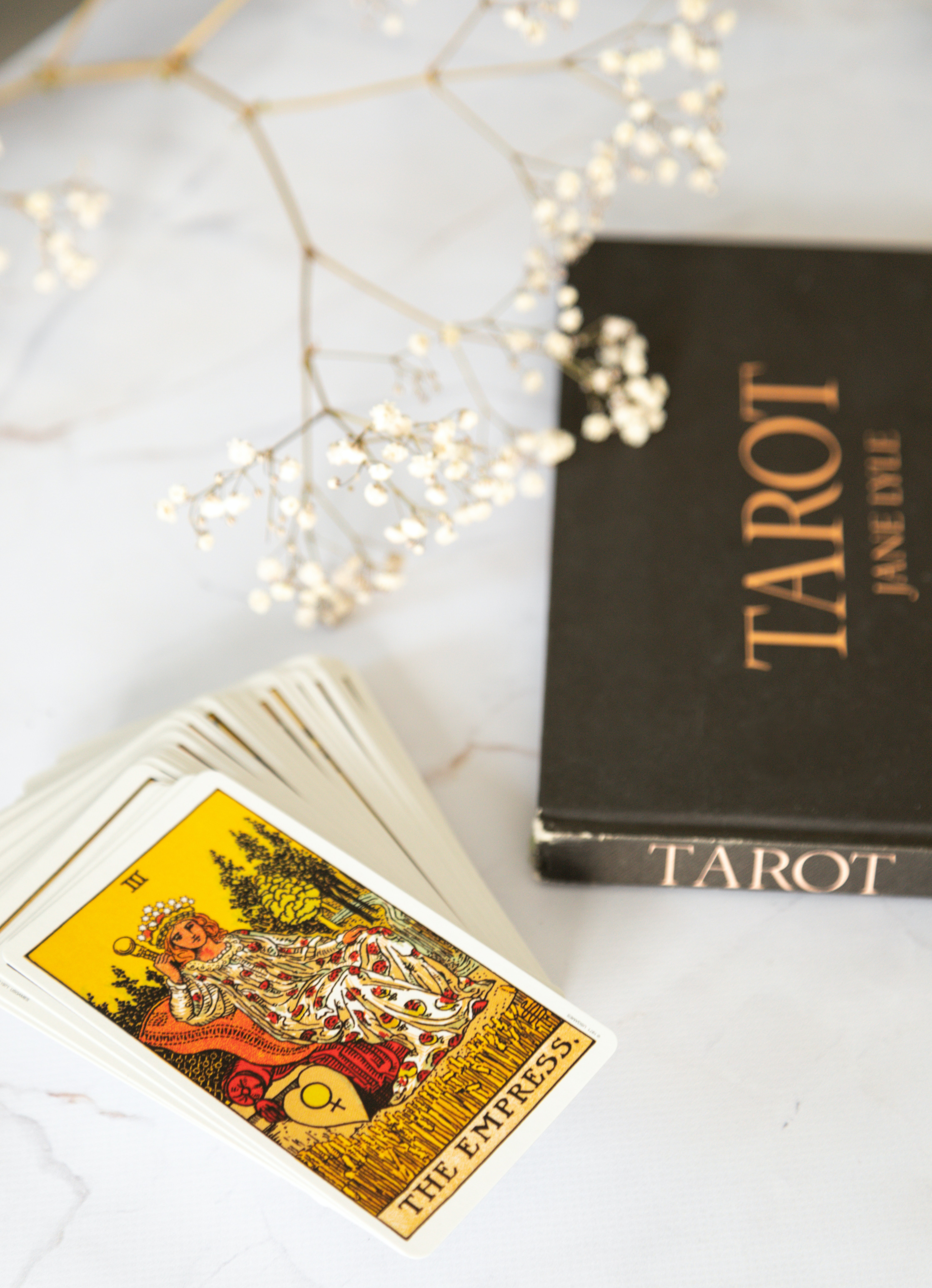 Tarot Consultation